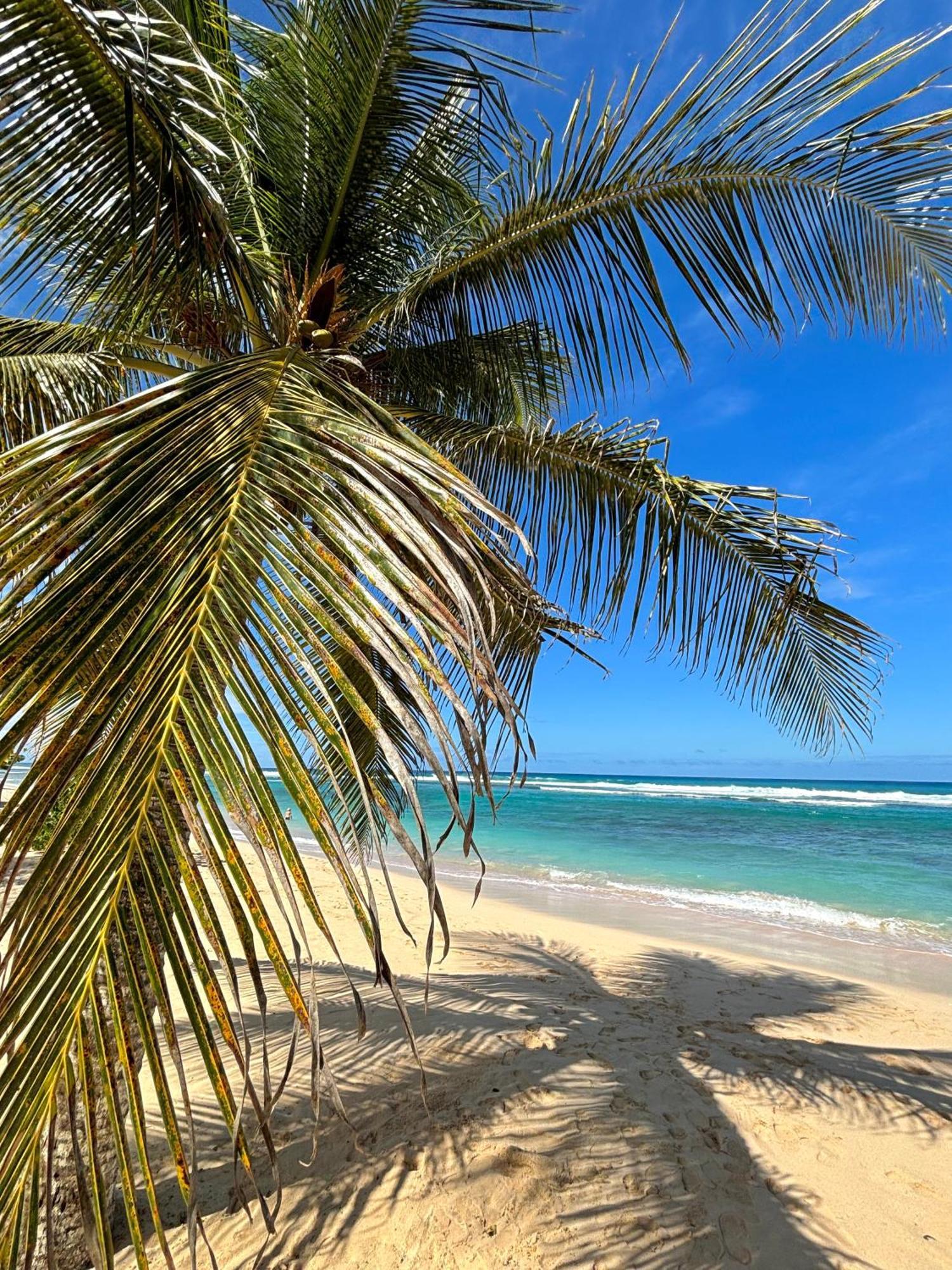 Lavann Wouj - Proche Des Plages Et Du Bourg Vila Anse-Bertrand Exterior foto