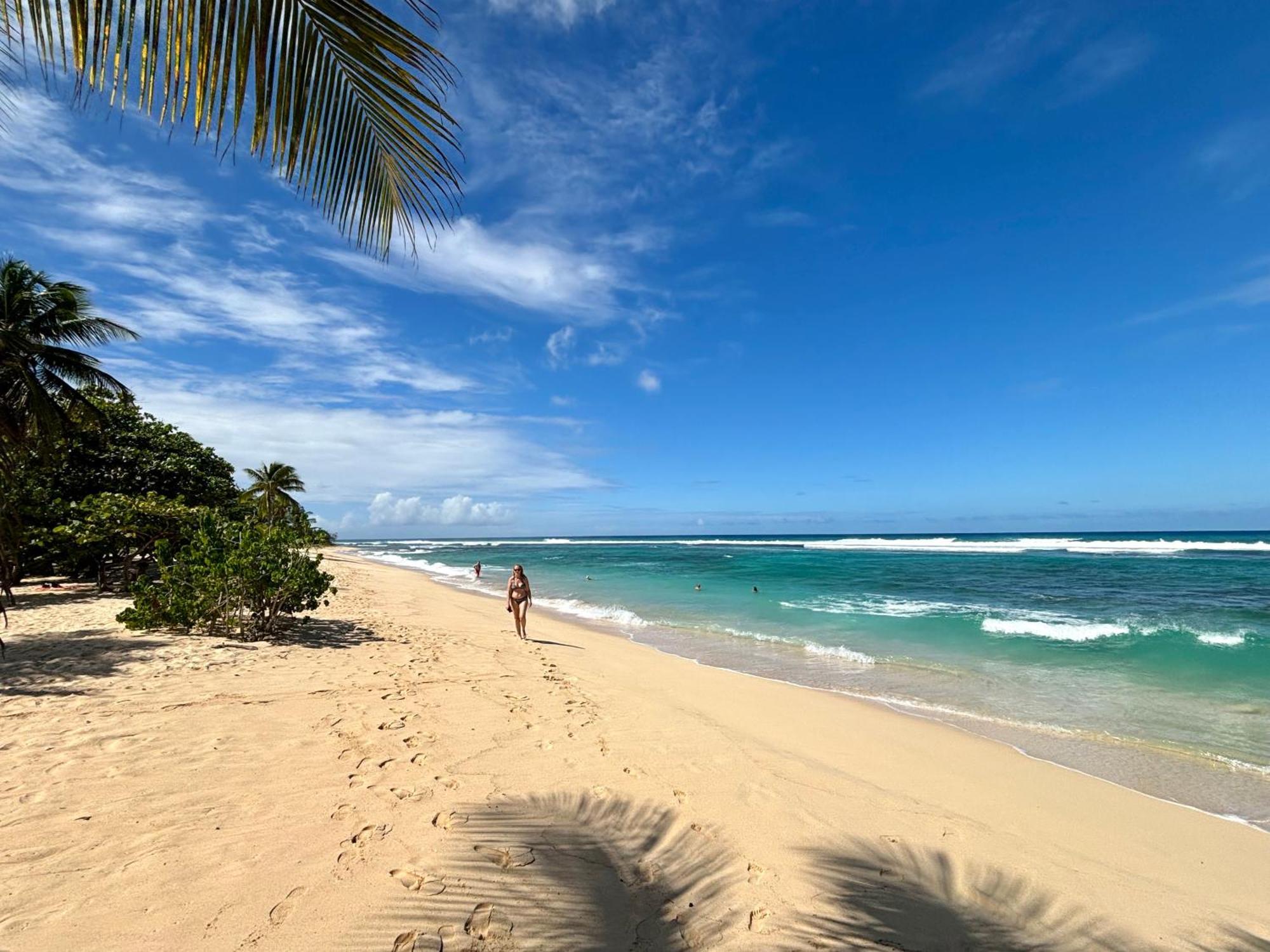 Lavann Wouj - Proche Des Plages Et Du Bourg Vila Anse-Bertrand Exterior foto